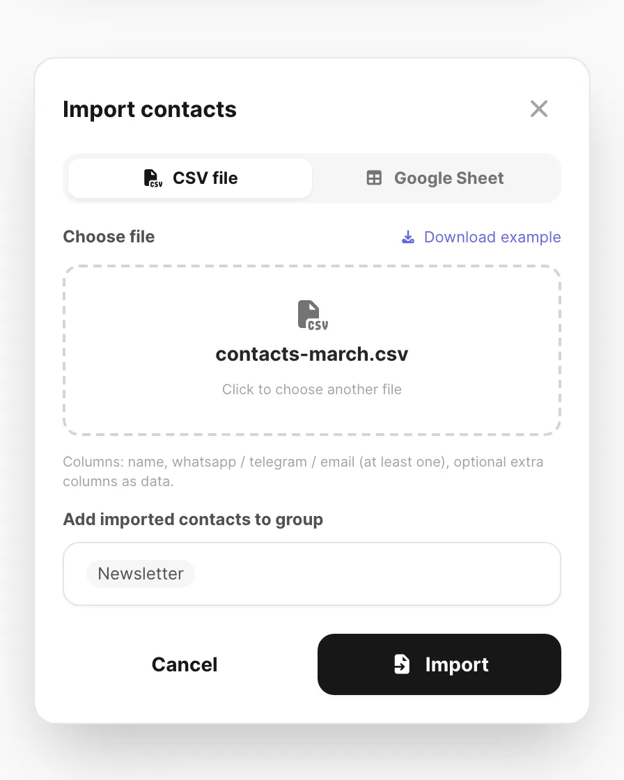 Import contacts — CSV file, example download, and optional group assignment